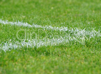 fußball rasen ecke rechts - soccer pitch detail