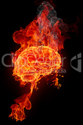 Burning brain