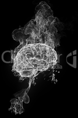 smoky brain