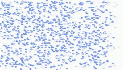 blue dots flying.antibiotic,biochemistry,capsule,chemical,disease,drug,health,healthcare,illness,medicate,medicine,