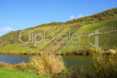 Weinlage Briedeler Herzchen