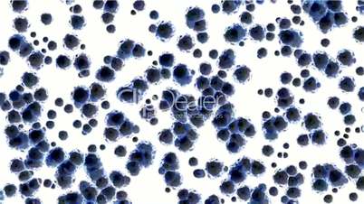 animation of blue cells and virus.alveolus,anatomy,bacterium,biology,body,circulate,