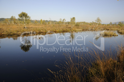 Hochmoor Kendlmühlfilz