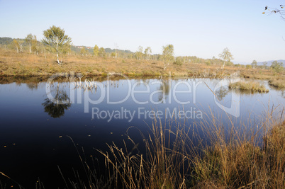 Hochmoor Kendlmühlfilz