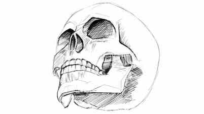 skull sketch