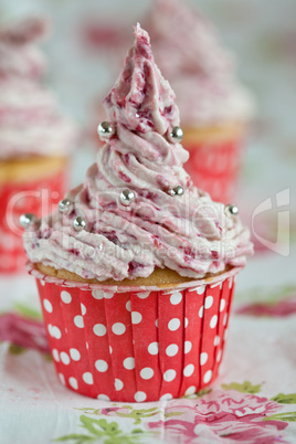 Delicious cupcake