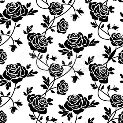 Black roses at white