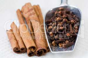 Gewuerznelken und Zimtstangen - Cloves and Cinnamon sticks