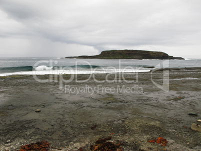 wild rocky shore in australia