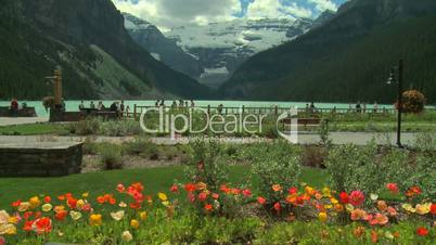 Lake Louise with poppies