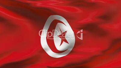 Creased MOROCCAN flag in wind - slow motion