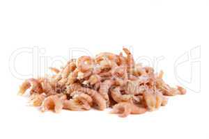 Fresh shrimps