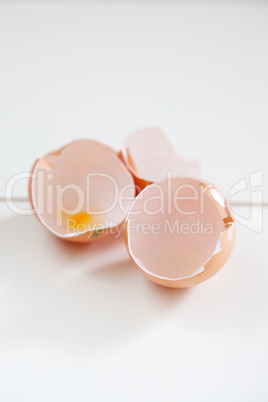 Empty egg shells