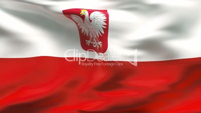 Creased POLAND flag in wind - slow motion