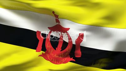 Textured BRUNEI cotton flag with wrinkles and seams