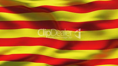 Textured CATALONIA cotton flag with wrinkles and seams