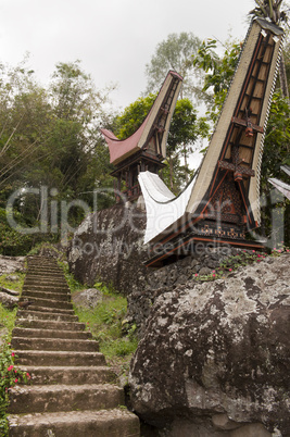 Traditional toraja cemetery