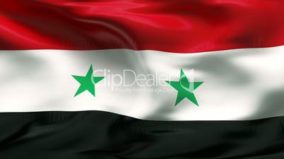 Textured SYRIA cotton flag with wrinkles and seams
