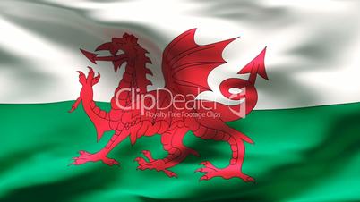 Textured WALES cotton flag with wrinkles and seams