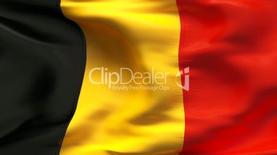 Textured BELGIUM cotton flag with wrinkles and seams
