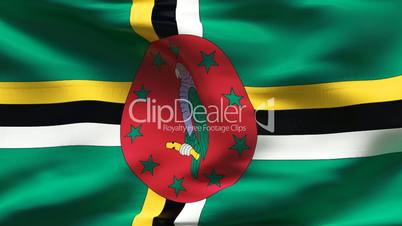 Textured DOMINICA cotton flag with wrinkles and seams