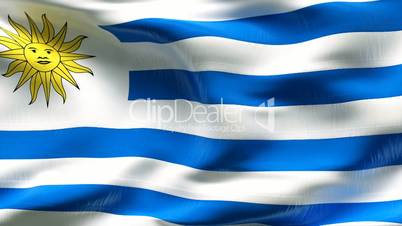 Textured URUGUAY cotton flag with wrinkles and seams