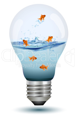 bulb as fish tank