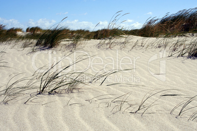 Dünen auf Sylt