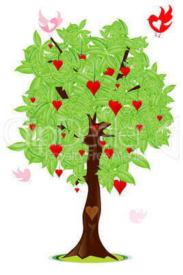 love bird flying around tree with heart