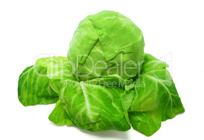 Cabbage on white background