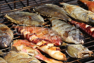 Fish on grill