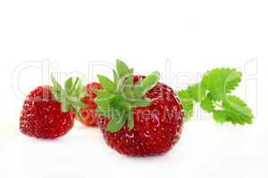 Erdbeeren