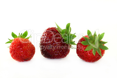 Erdbeeren