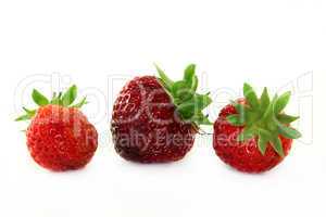 Erdbeeren