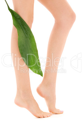 female legs with green leaf