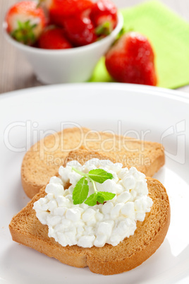 Zwieback mit körnigem Frischkäse / rusk with cream cheese