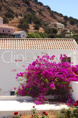 Luxury villa decorated with flowers, Crete, Greece