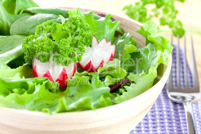Salat mit Radieschen / salad with radish