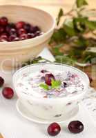 Joghurt mit Cranberries / yogurt with cranberries