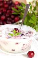 frischer Joghurt mit Beeren / fresh jogurt with berries