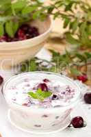 frischer Cranberryjoghurt / fresh cranberry yogurt