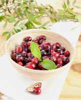 Cranberries in Schale / cranberries in bowl