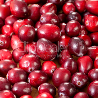 Cranberries / cranberries