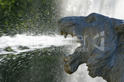 Brunnen Löwe - fountain lion
