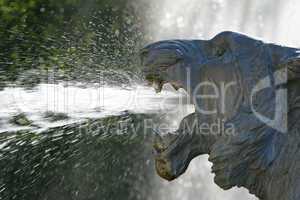 Brunnen Löwe - fountain lion