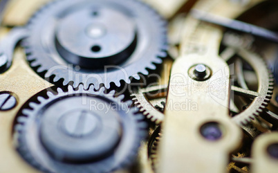 Uhrwerk Makro - Watch Mechanism close-up