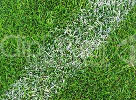 fußball rasen nahaufnahme - soccer grass close-up