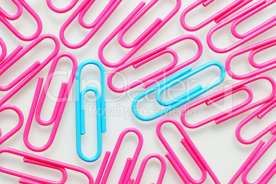 Paper Clips Macro - Büroklammern pink blau