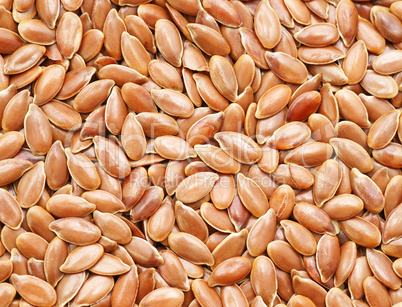 Flax Seed Close-up - Leinsamen Nahaufnahme