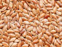 Flax Seed Close-up - Leinsamen Nahaufnahme